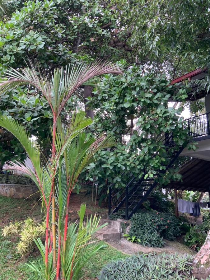 Lali Villa & Fruit Garden كالي المظهر الخارجي الصورة