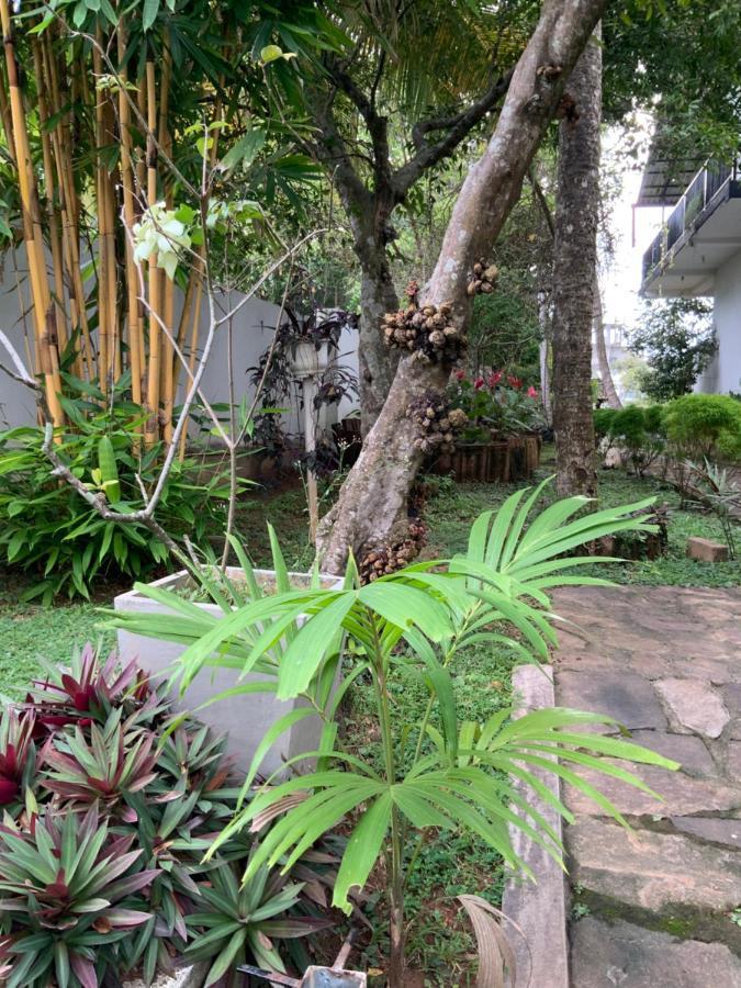 Lali Villa & Fruit Garden كالي المظهر الخارجي الصورة