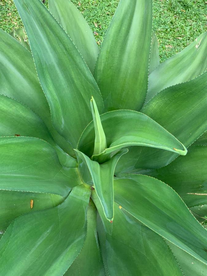 Lali Villa & Fruit Garden كالي المظهر الخارجي الصورة