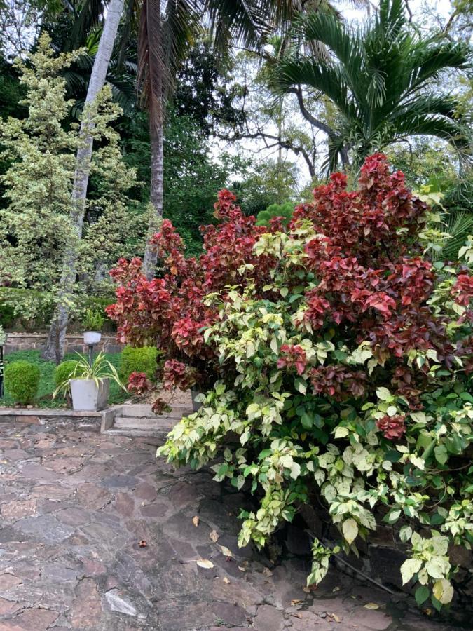 Lali Villa & Fruit Garden كالي المظهر الخارجي الصورة