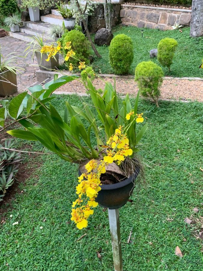 Lali Villa & Fruit Garden كالي المظهر الخارجي الصورة