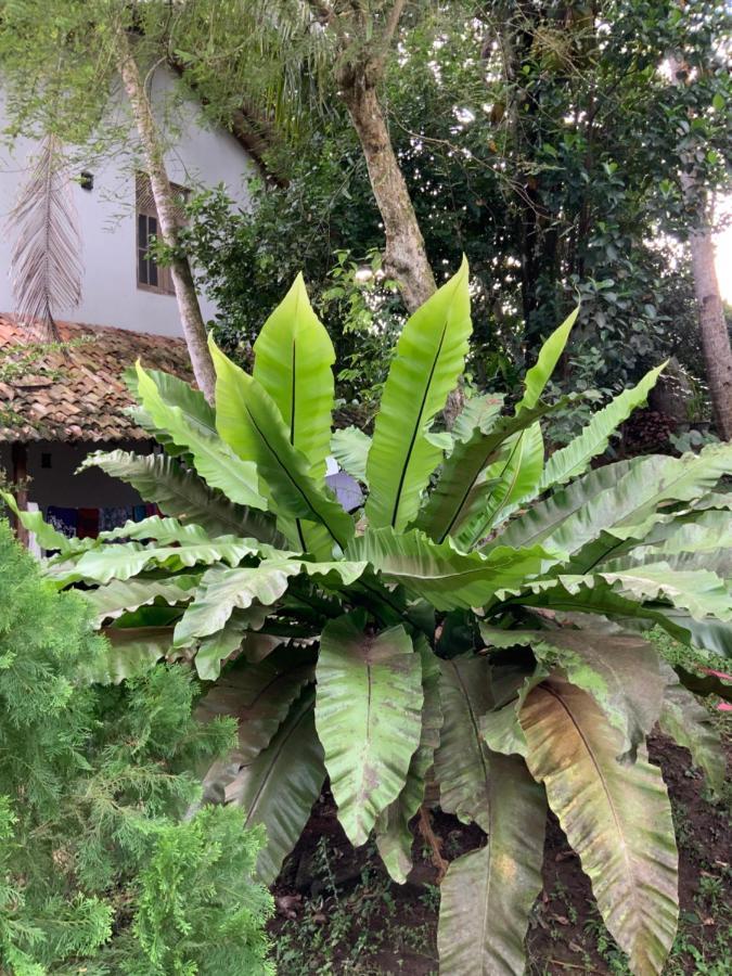 Lali Villa & Fruit Garden كالي المظهر الخارجي الصورة