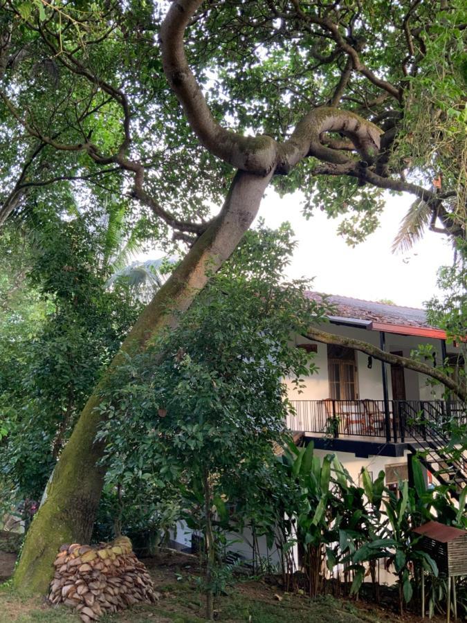 Lali Villa & Fruit Garden كالي المظهر الخارجي الصورة