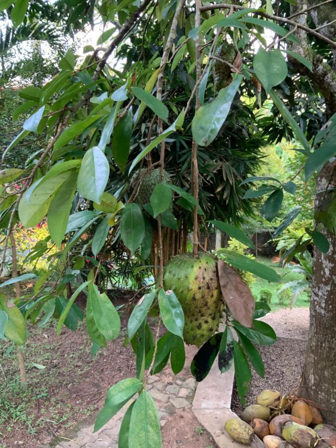 Lali Villa & Fruit Garden كالي المظهر الخارجي الصورة
