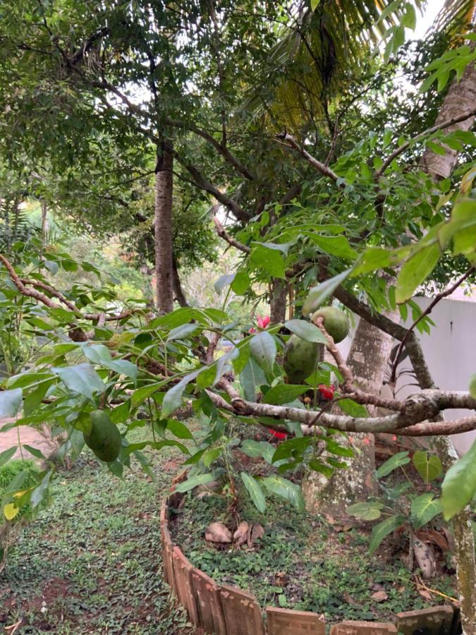 Lali Villa & Fruit Garden كالي المظهر الخارجي الصورة