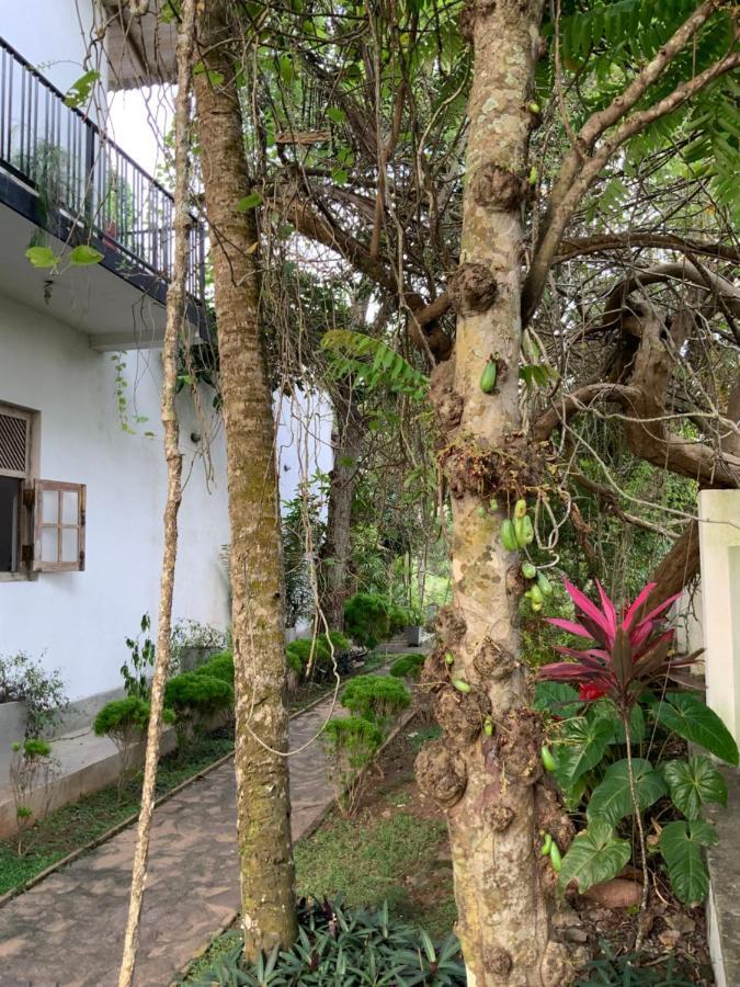 Lali Villa & Fruit Garden كالي المظهر الخارجي الصورة